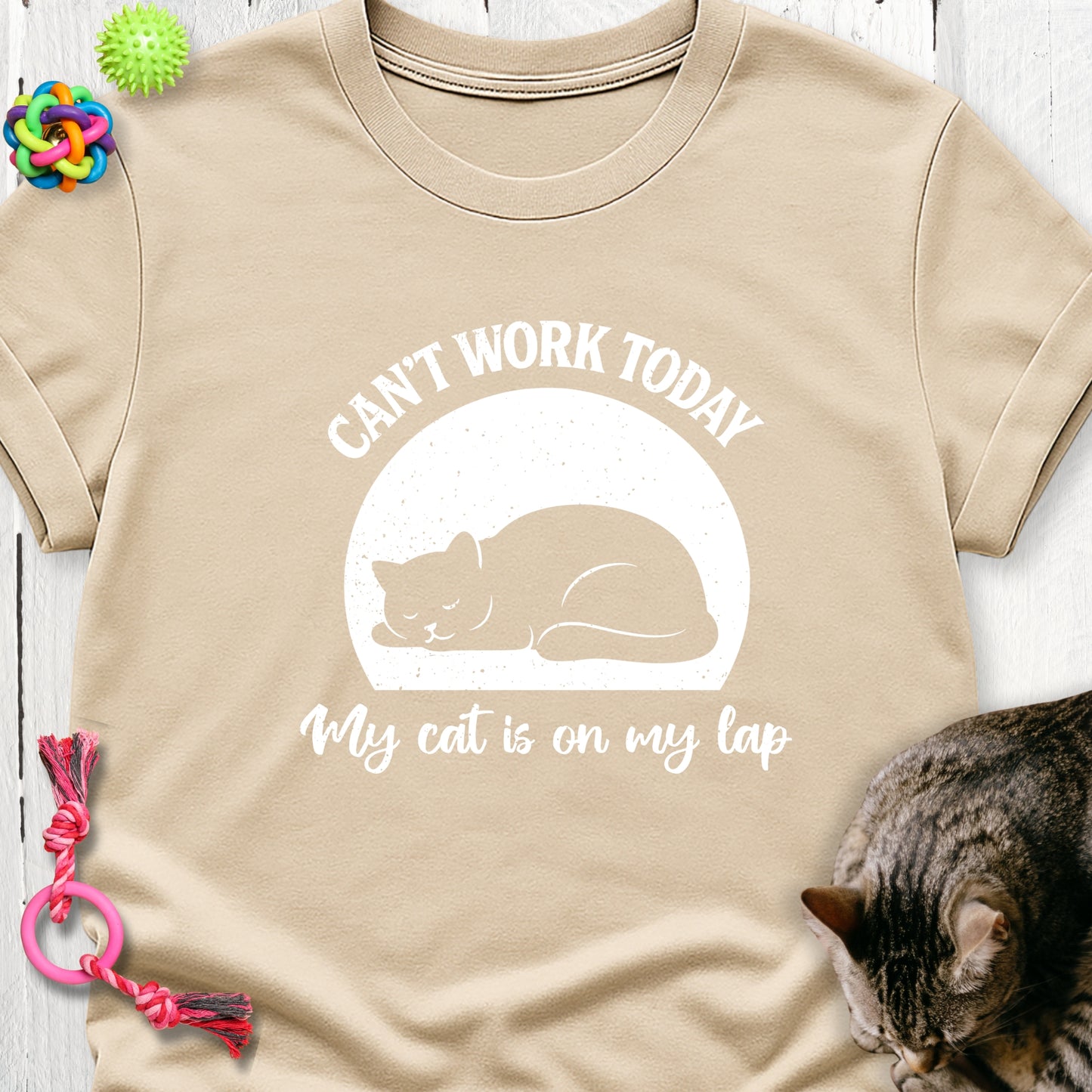 Can’t work today my cat is on my lap