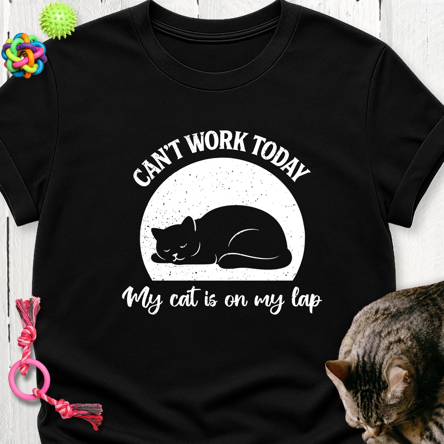Can’t work today my cat is on my lap