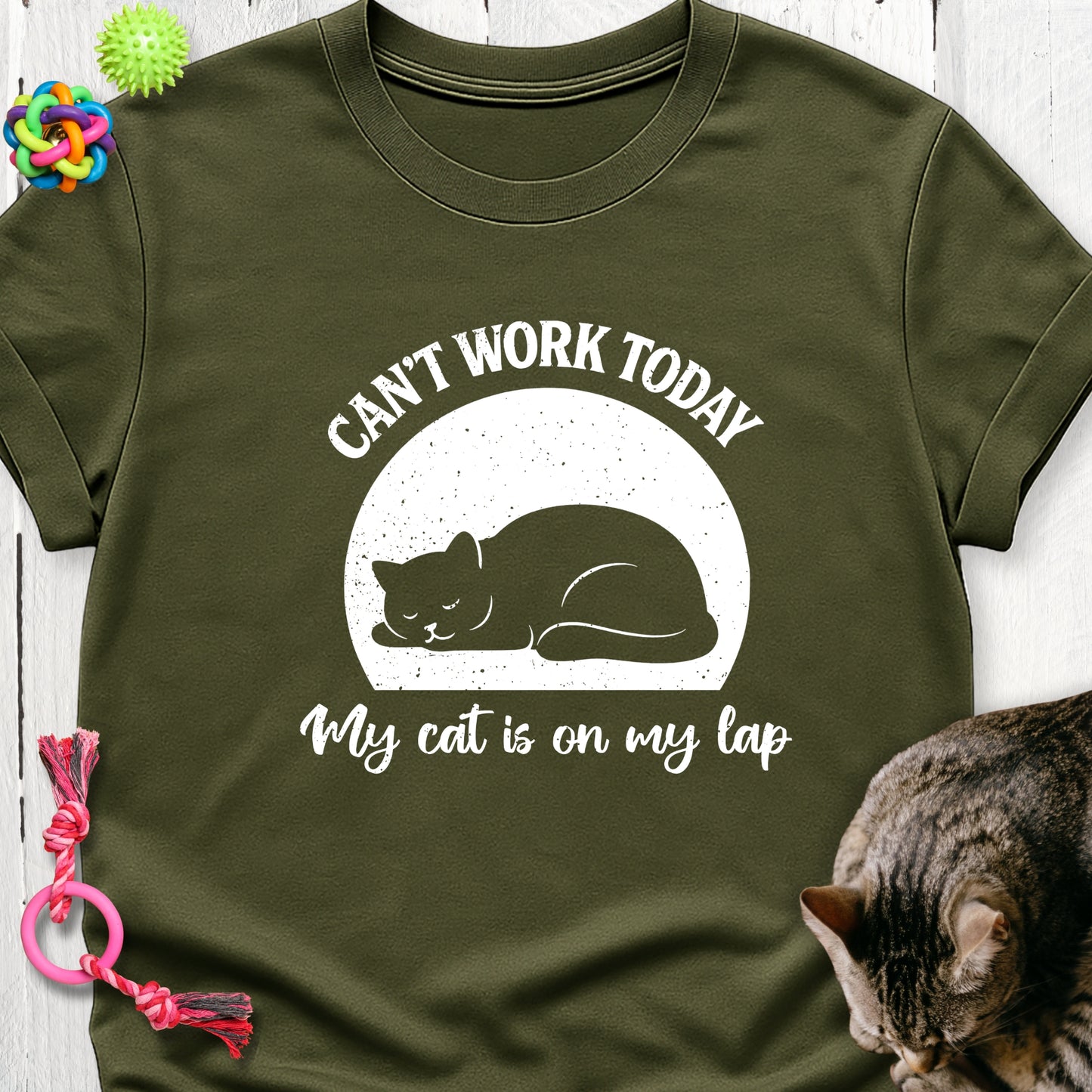 Can’t work today my cat is on my lap