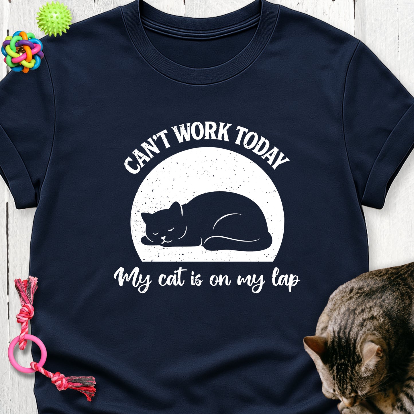 Can’t work today my cat is on my lap