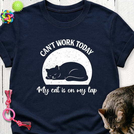 Can’t work today my cat is on my lap