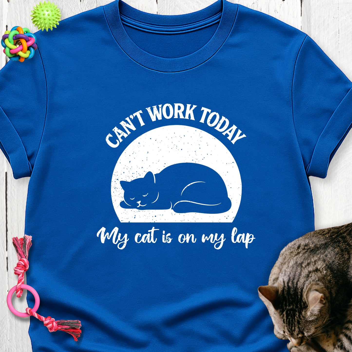 Can’t work today my cat is on my lap