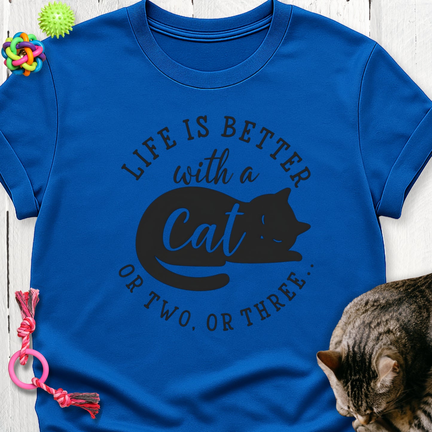 Life is better with a cat