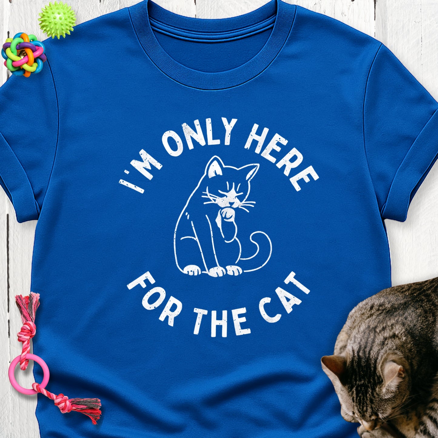I’m only here for the cat
