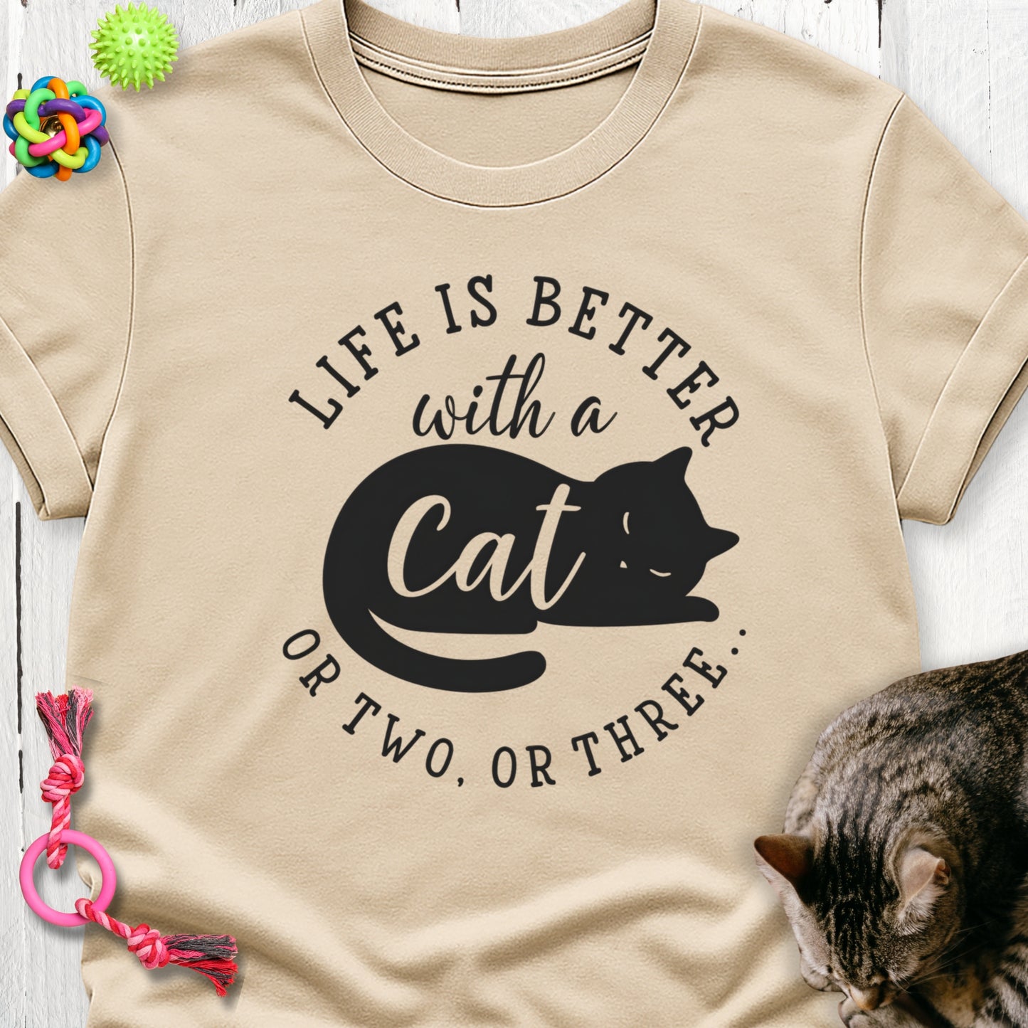 Life is better with a cat