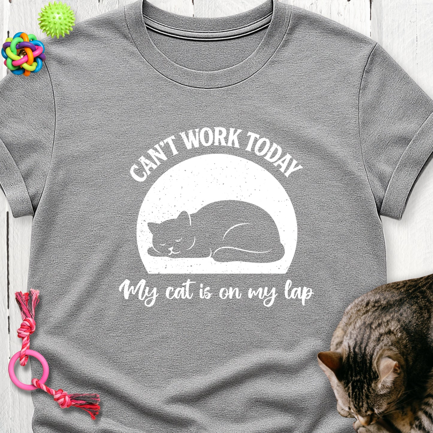 Can’t work today my cat is on my lap