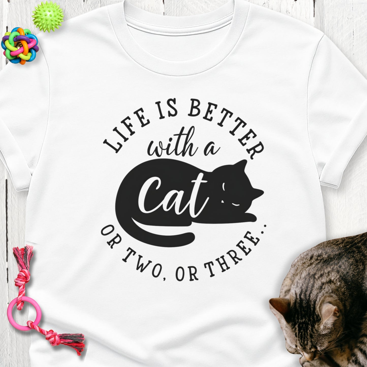 Life is better with a cat